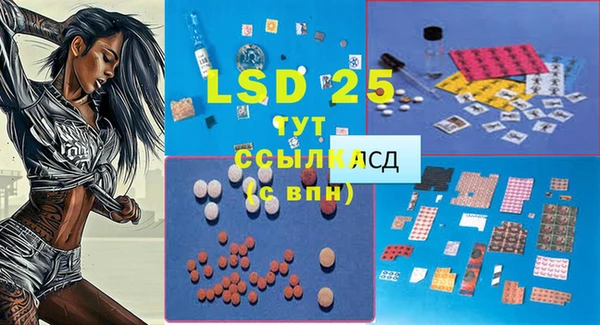 ALPHA PVP Белокуриха