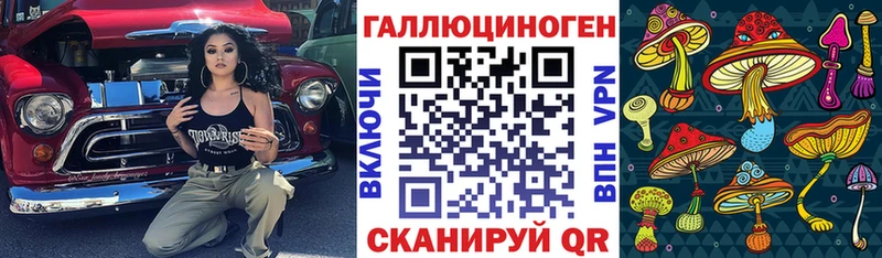 закладки  Высоцк  shop как зайти  Псилоцибиновые грибы Cubensis 