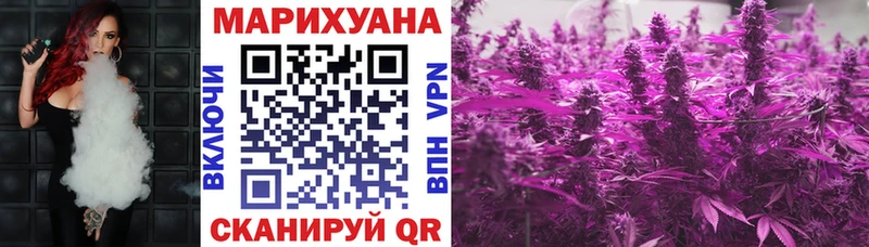Канабис план  закладки  Высоцк 